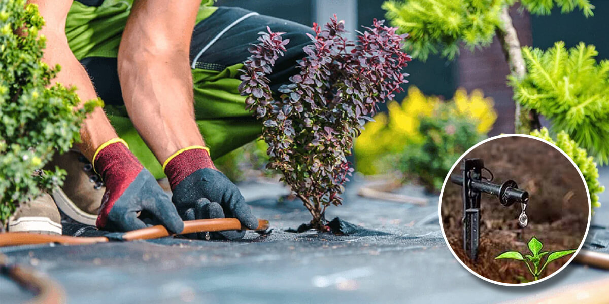 Kvapková závlaha a mikrozávlaha – presné a úsporné zavlažovanie záhonov